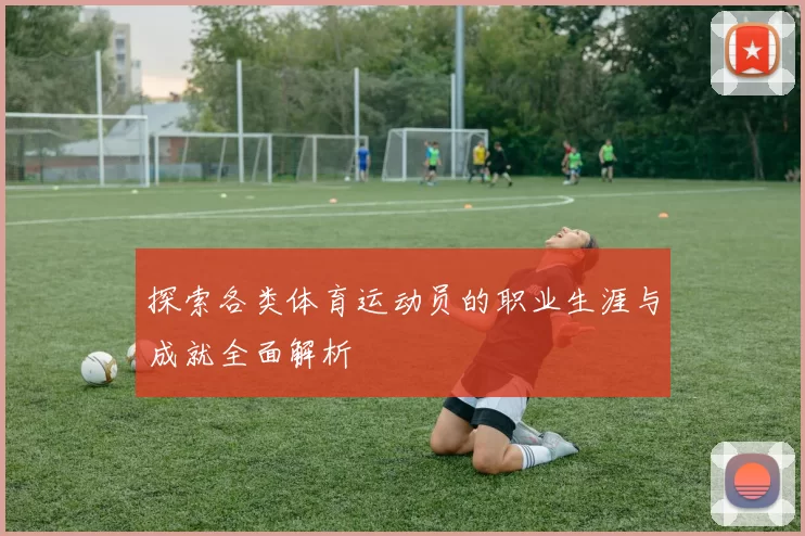 探索各类体育运动员的职业生涯与成就全面解析