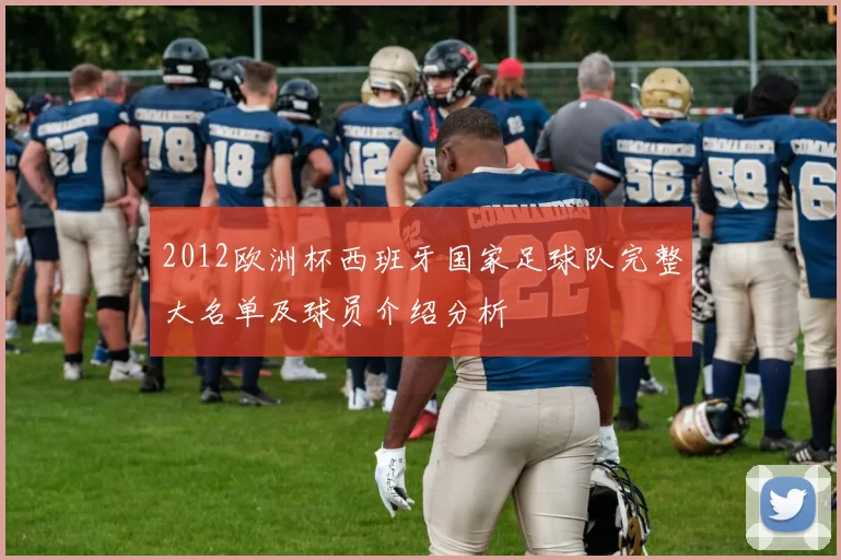 2012欧洲杯西班牙国家足球队完整大名单及球员介绍分析